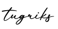 单词tugriks书写