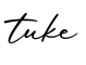 单词tuke书写