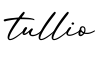 单词tullio书写