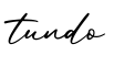 单词tundo书写