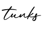 单词tunks书写