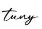 单词tuny书写