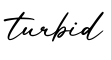 单词turbid书写