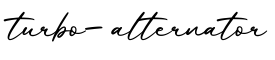 单词turbo-alternator书写
