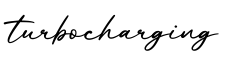 单词turbocharging书写