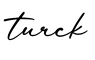 单词turck书写