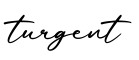 单词turgent书写