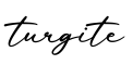 单词turgite书写