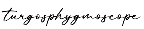 单词turgosphygmoscope书写