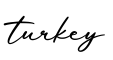 单词turkey书写