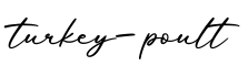 单词turkey-poult书写