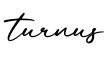单词turnus书写