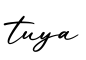 单词tuya书写