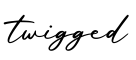 单词twigged书写