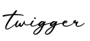 单词twigger书写