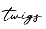 单词twigs书写