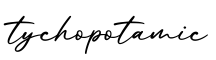 单词tychopotamic书写