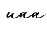 单词uaa书写