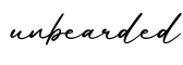 单词unbearded书写