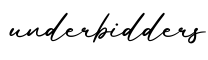 单词underbidders书写