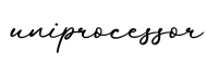 单词uniprocessor书写