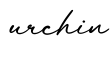 单词urchin书写