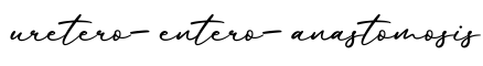 单词uretero-entero-anastomosis书写