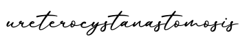 单词ureterocystanastomosis书写
