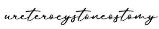 单词ureterocystoneostomy书写