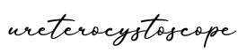 单词ureterocystoscope书写