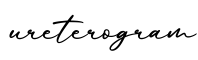 单词ureterogram书写