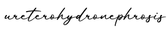 单词ureterohydronephrosis书写