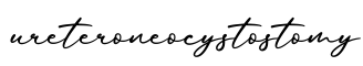单词ureteroneocystostomy书写