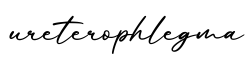 单词ureterophlegma书写