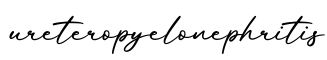 单词ureteropyelonephritis书写