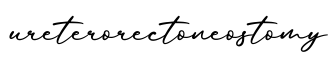 单词ureterorectoneostomy书写