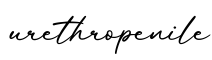 单词urethropenile书写