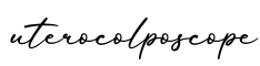 单词uterocolposcope书写