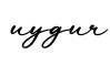 单词uygur书写