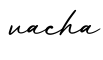 单词vacha书写
