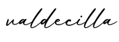 单词valdecilla书写