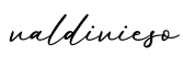单词valdivieso书写