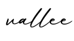 单词vallee书写
