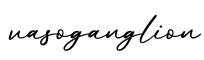 单词vasoganglion书写