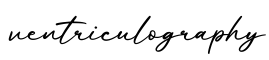 单词ventriculography书写
