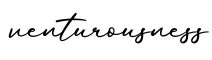 单词venturousness书写
