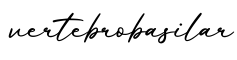 单词vertebrobasilar书写