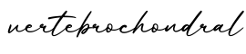 单词vertebrochondral书写