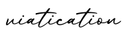 单词viatication书写