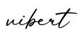 单词vibert书写